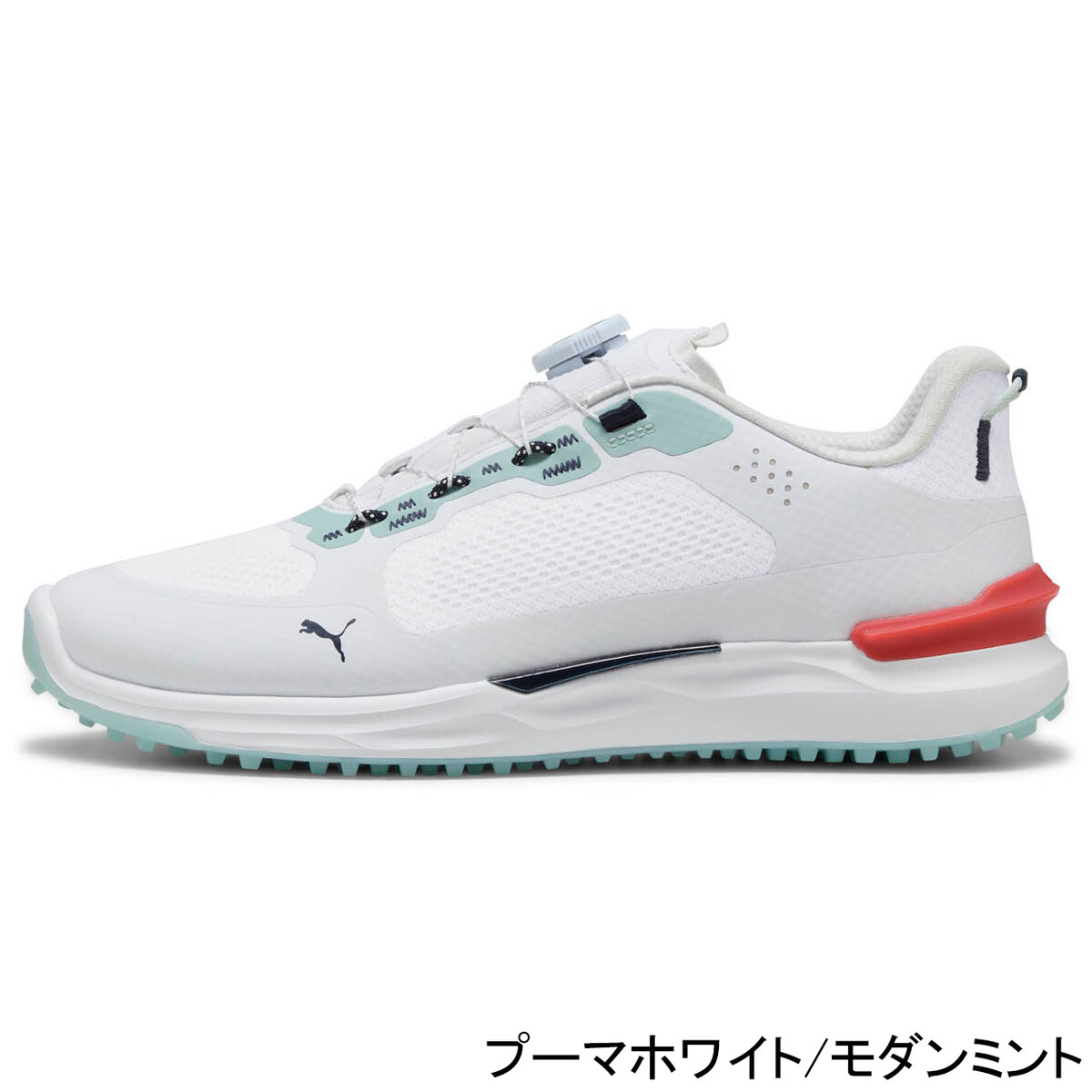 楽天市場】プーマ PUMA メンズ ゴルフシューズ イグナイト エレベート