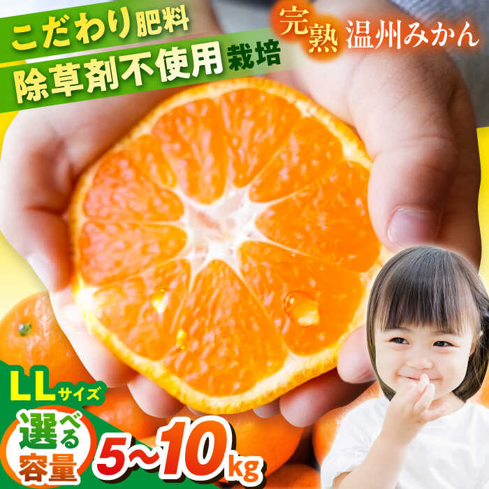 楽天市場】【ふるさと納税】【選べる容量！】【数量限定150セット