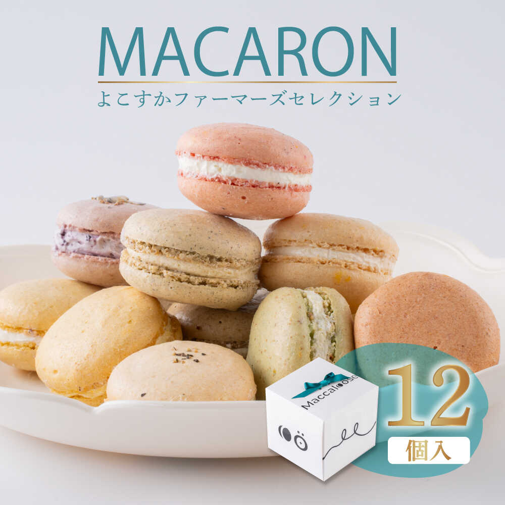 楽天市場】【ふるさと納税】マカロン12個セット よこすか