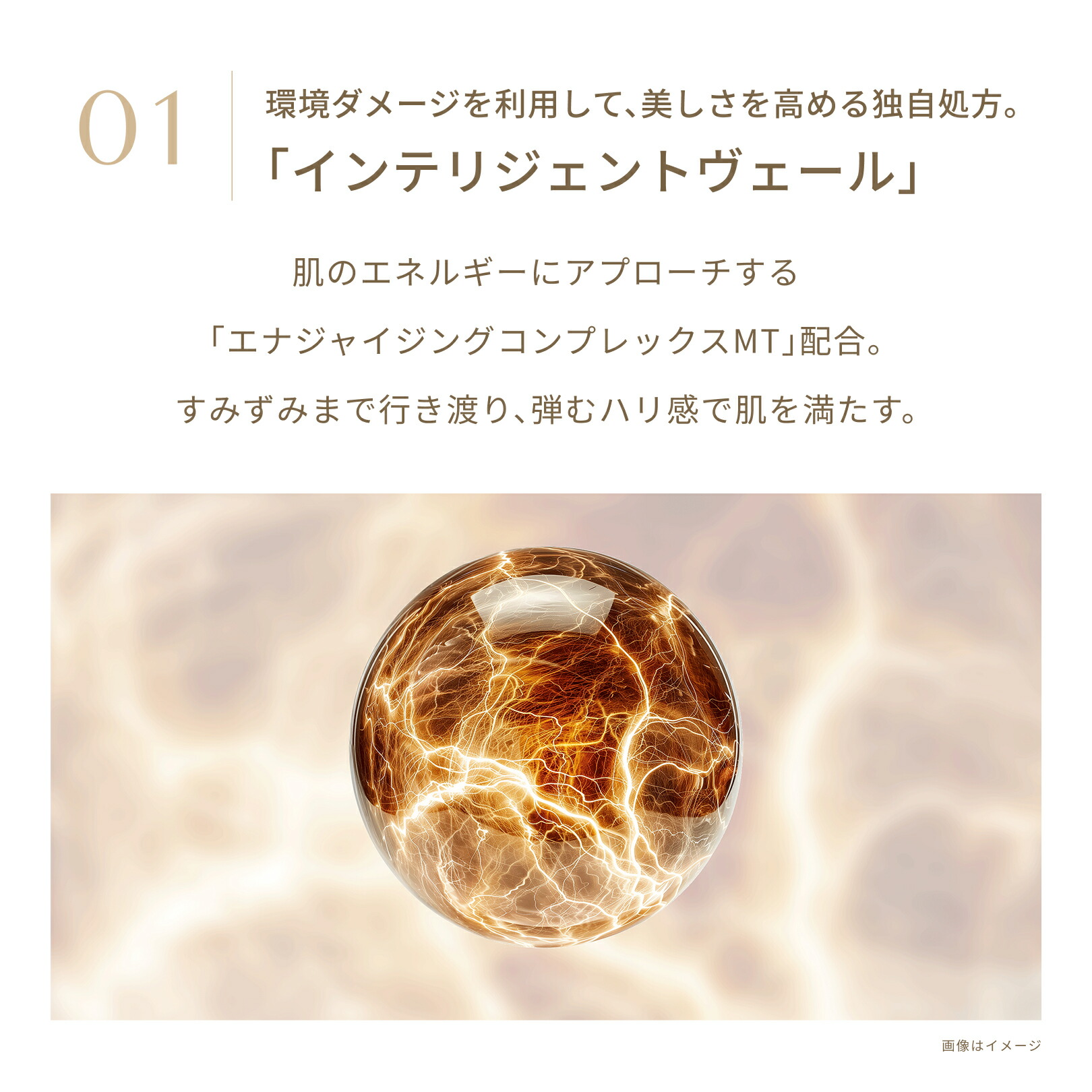 楽天市場】FATUITE公式 ブライテスト エナジャイジングナイトクリームa