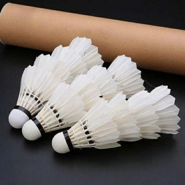 楽天市場】バドミントン ノック 用 シャトル（バドミントン｜スポーツ