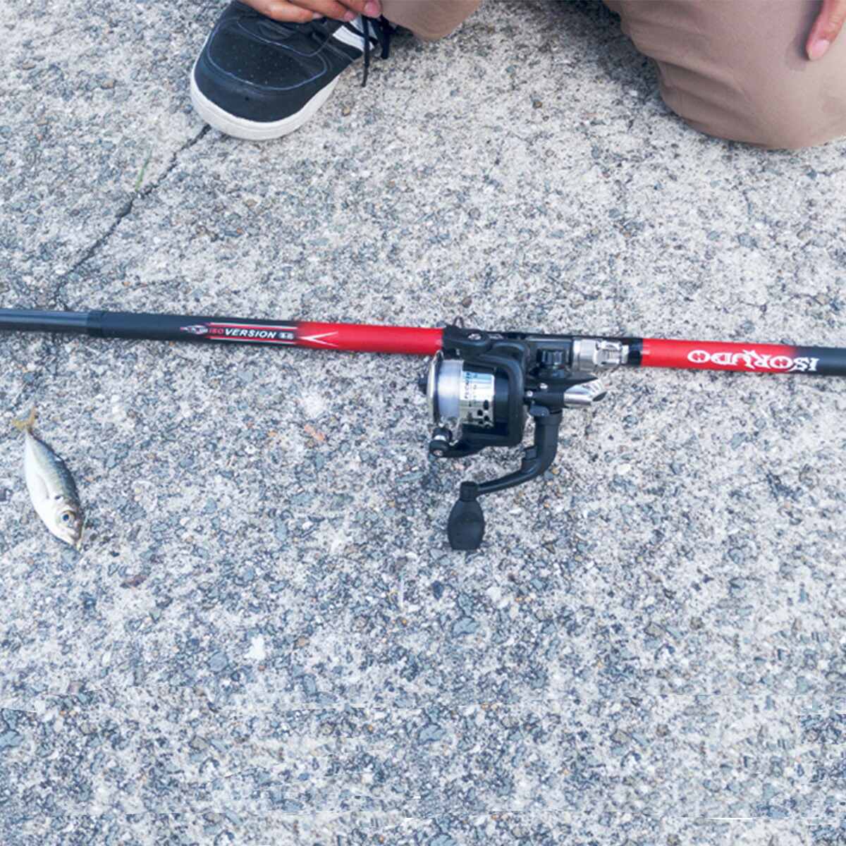 楽天市場】【3/11まで 限定クーポン配布中！エントリーでポイント最大