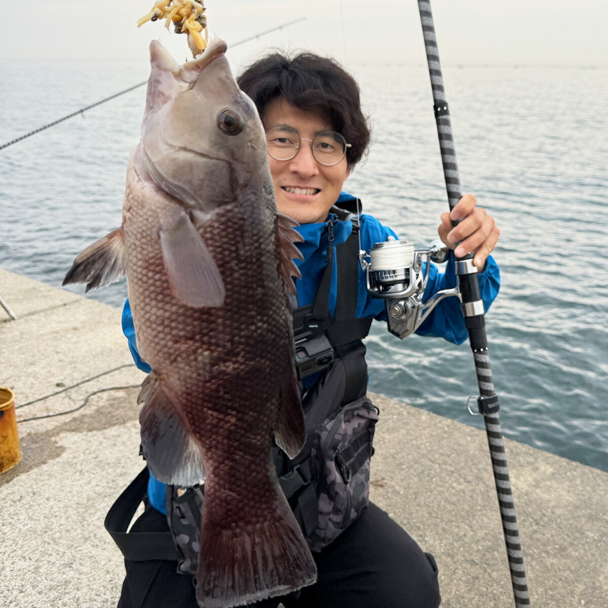 楽天市場】【3/11まで 限定クーポン配布中！エントリーでポイント最大