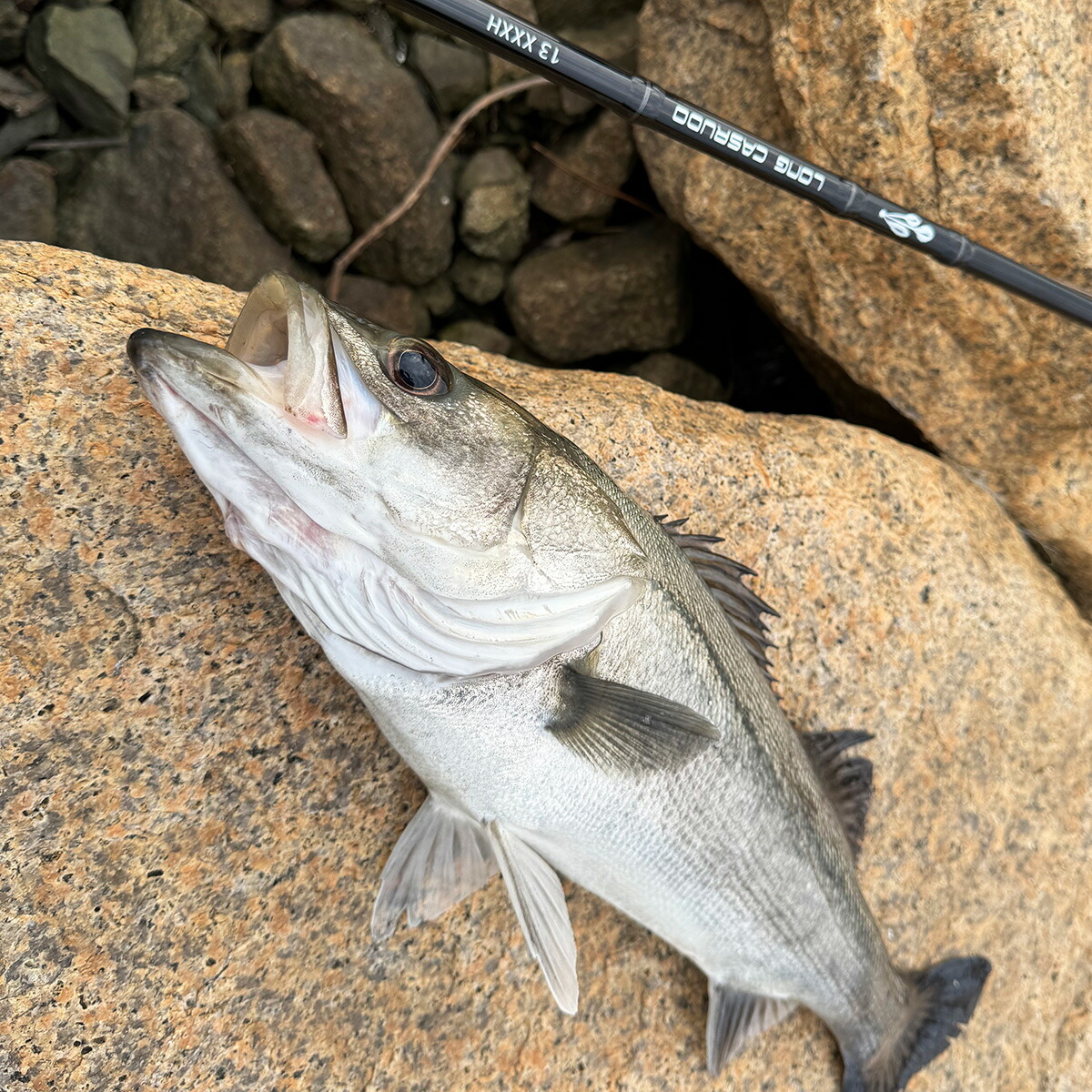 楽天市場】ショアキャスティング ロッド 並継 3ピース ショアジギング
