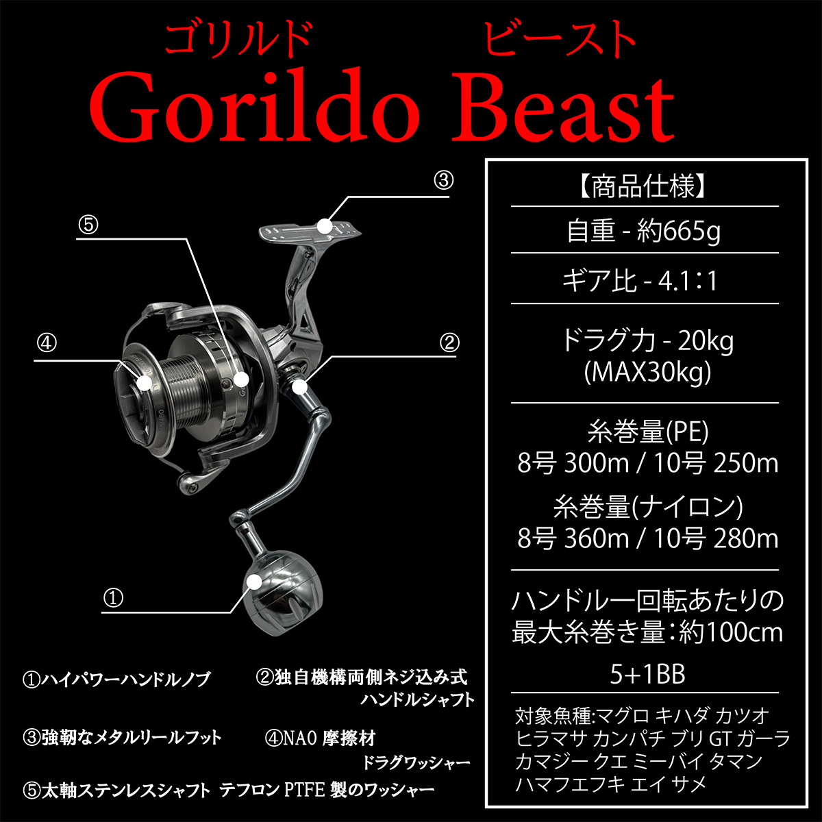 楽天市場】【3/11まで 限定クーポン配布中！エントリーでポイント最大