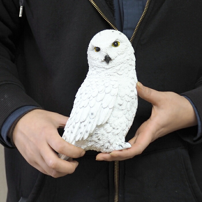 楽天市場】PET BANK シロフクロウ 貯金箱 インテリア 置き物 かわいい