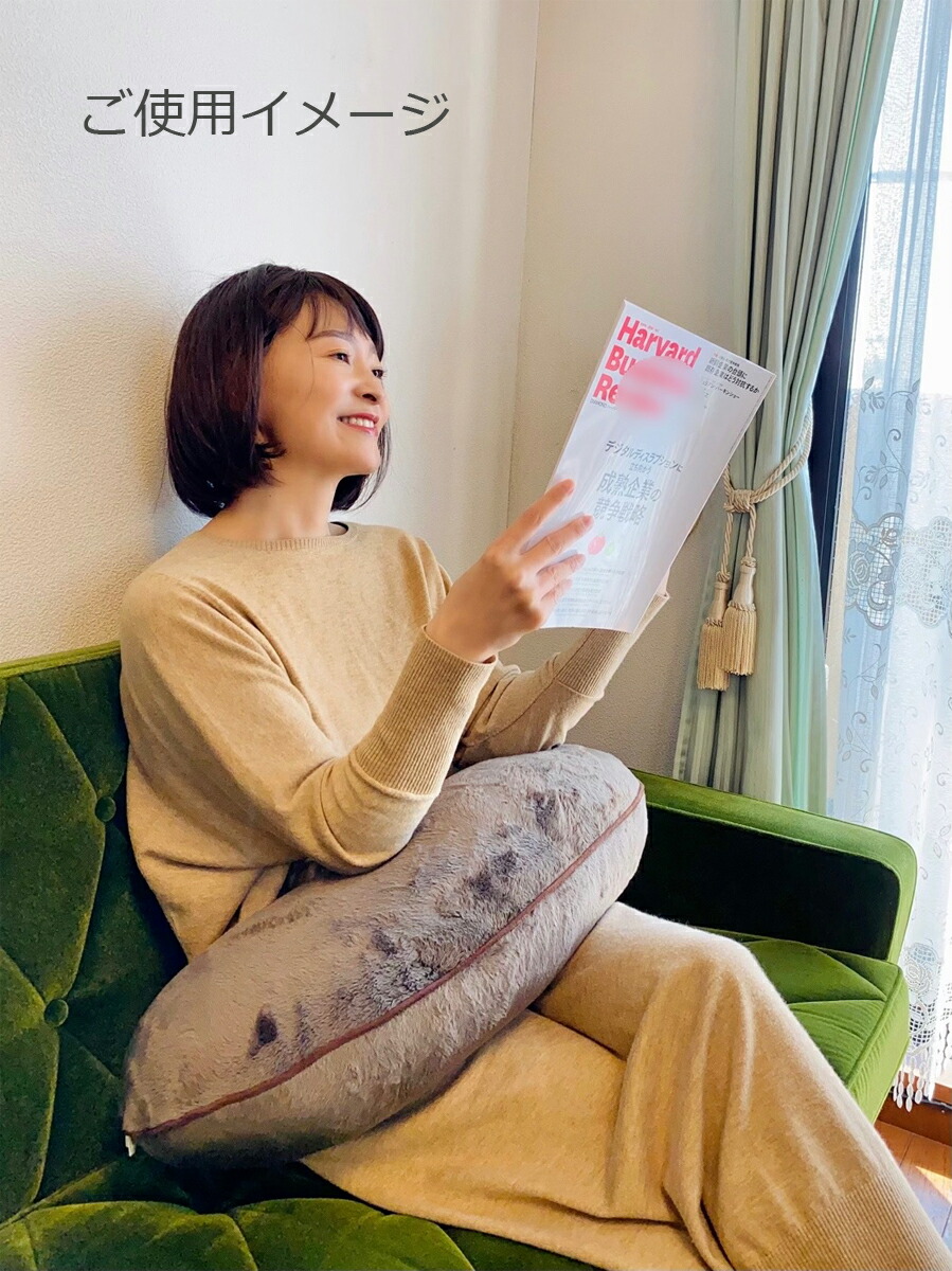 楽天市場】【ポイント20倍】 マイクロビーズクッション 公式通販