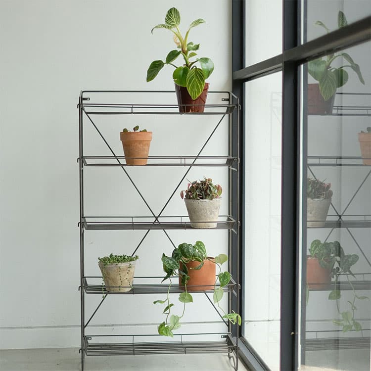 楽天市場】HABANA FOLDING SHELF ハバナフォールディングシェルフ 3段