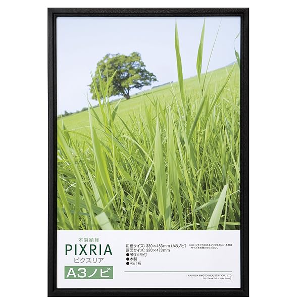 楽天市場】ハクバ 木製額縁 ピクスリア a3ノビの通販