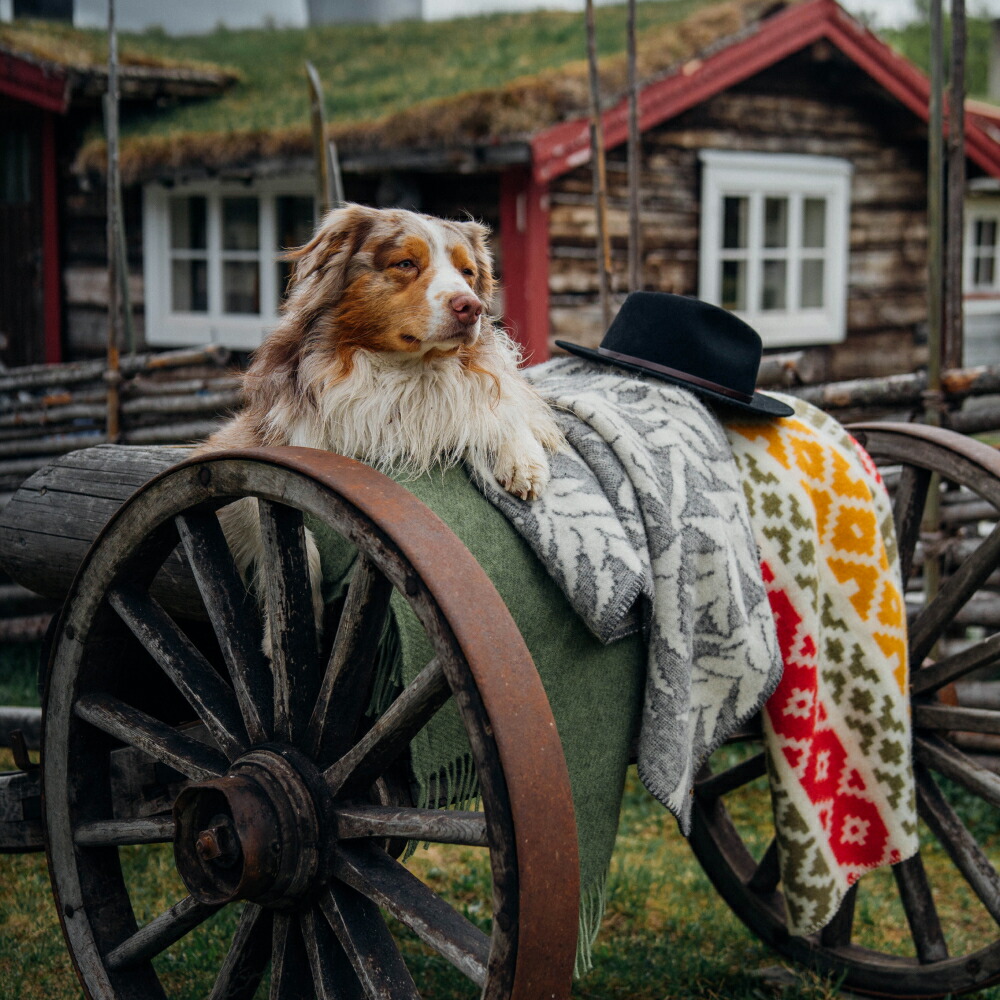 楽天市場】KLIPPAN クリッパン ウール シングルブランケット HOUSE IN