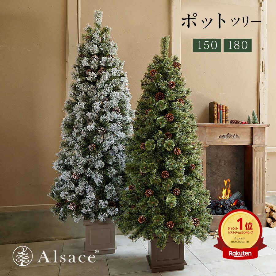 楽天市場】【公式 Alsace(R) 正規品】ポットツリー Coffret(コフレ