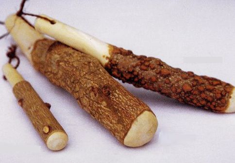 楽天市場】山椒すりこぎ ミニ 17cm (※天然木材のためサイズには個体差