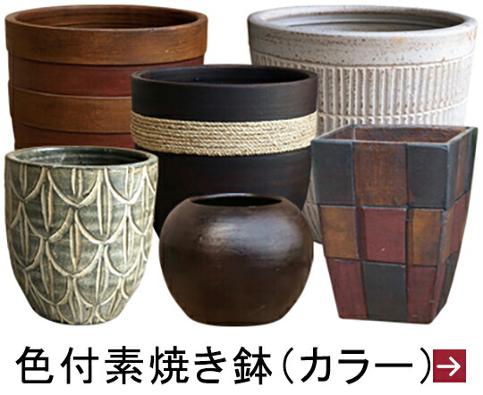 楽天市場 | 植木鉢・鉢カバー専門店グーポット - 植木鉢・鉢カバー