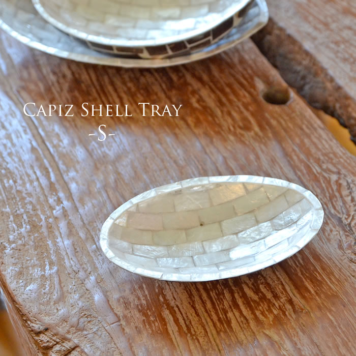 楽天市場】白蝶貝 プレートの通販