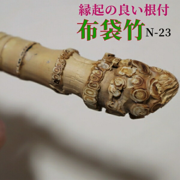 楽天市場】【布袋竹N23】 杖に最適（水戸黄門さま気分）70cmにカット済