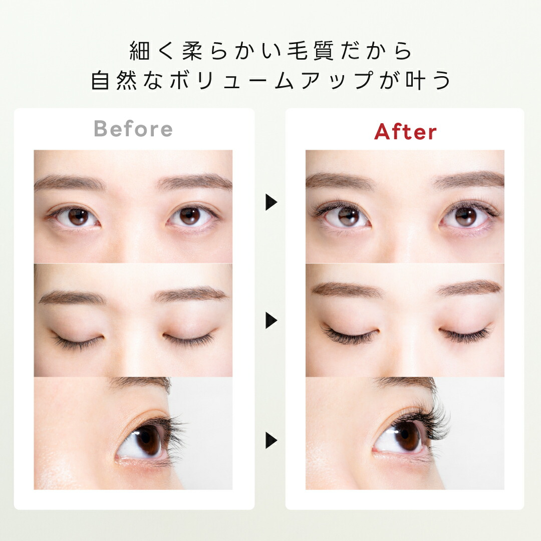 楽天市場】3Dボリュームラッシュドール 【240束入】 (カール:C/SC/D