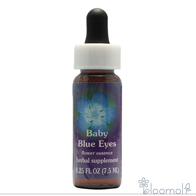 楽天市場】fes ベビーブルーアイズの通販