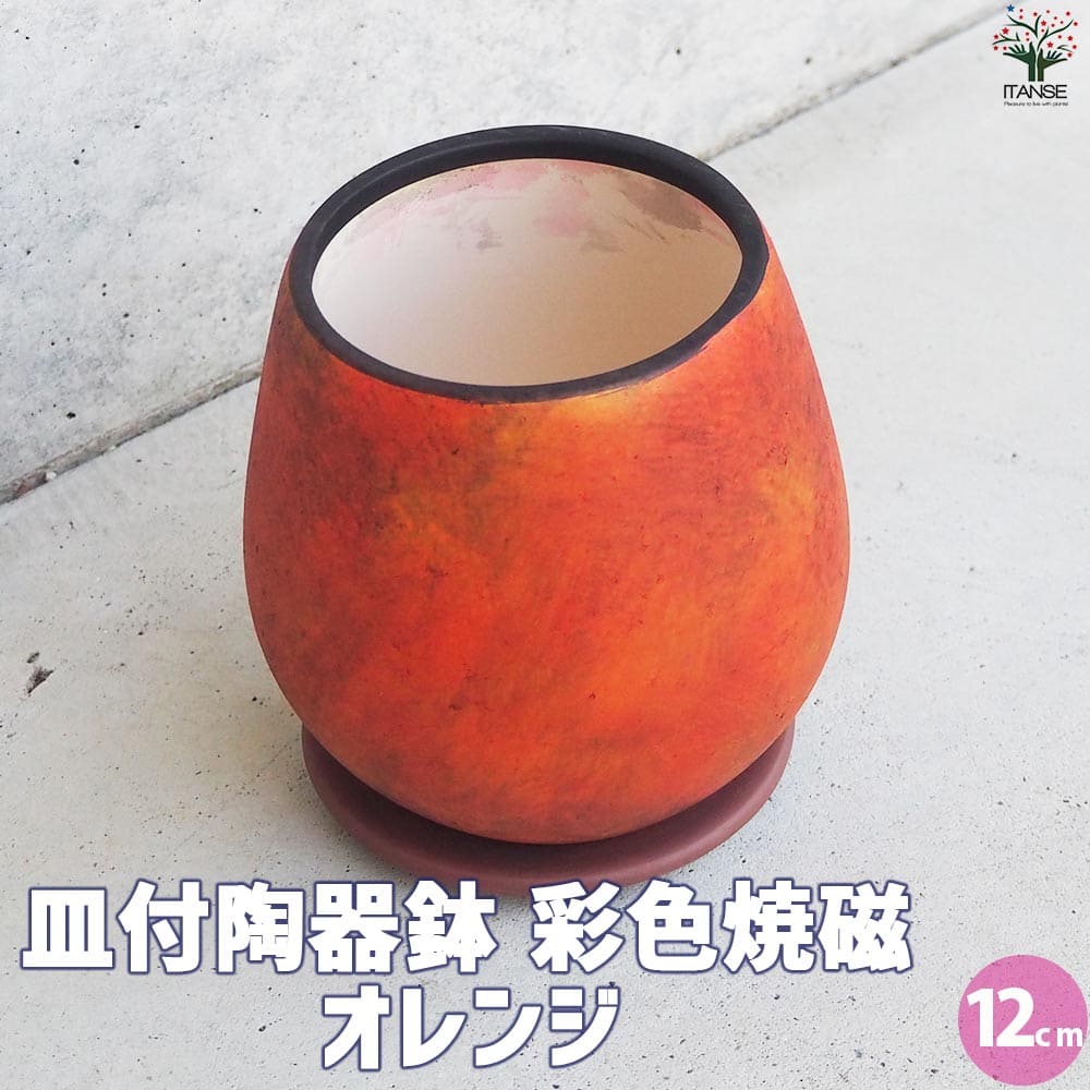 楽天市場】【送料無料】皿付陶器鉢 彩色焼磁 オレンジ 資材 12cm