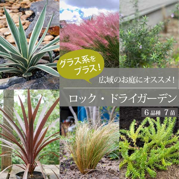 楽天市場】**3月中旬以降発送** ロックガーデンセット ［E］6種7個