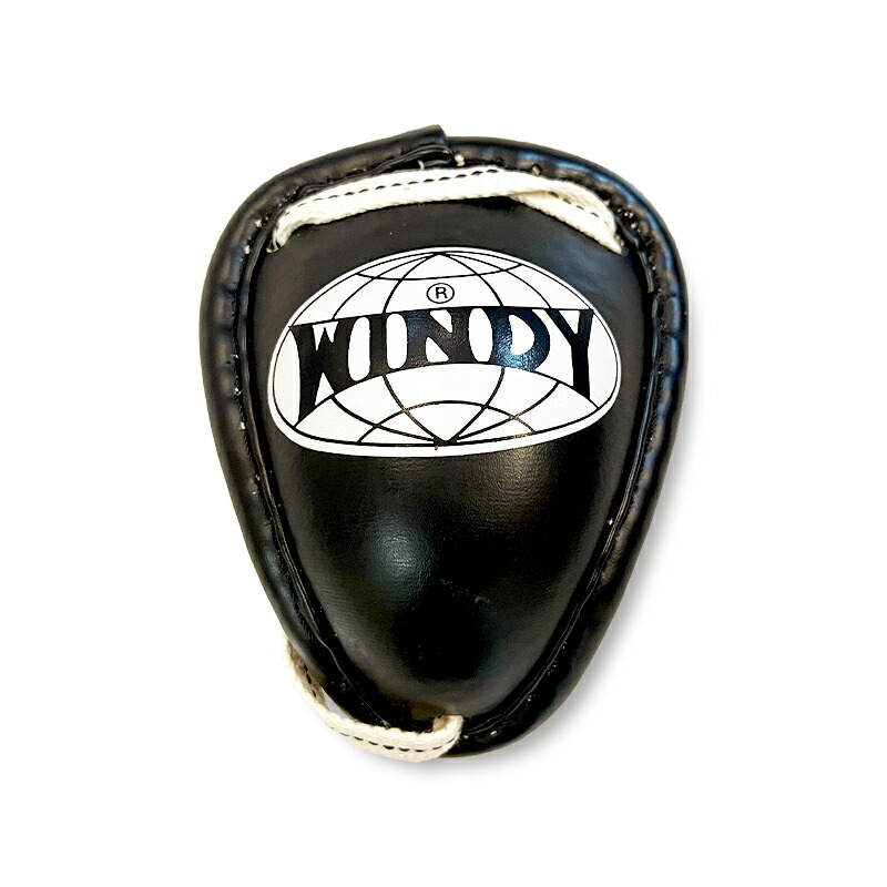 楽天市場】【日本総代理店】WINDY(ウィンディ) APT ムエタイ金的ガード
