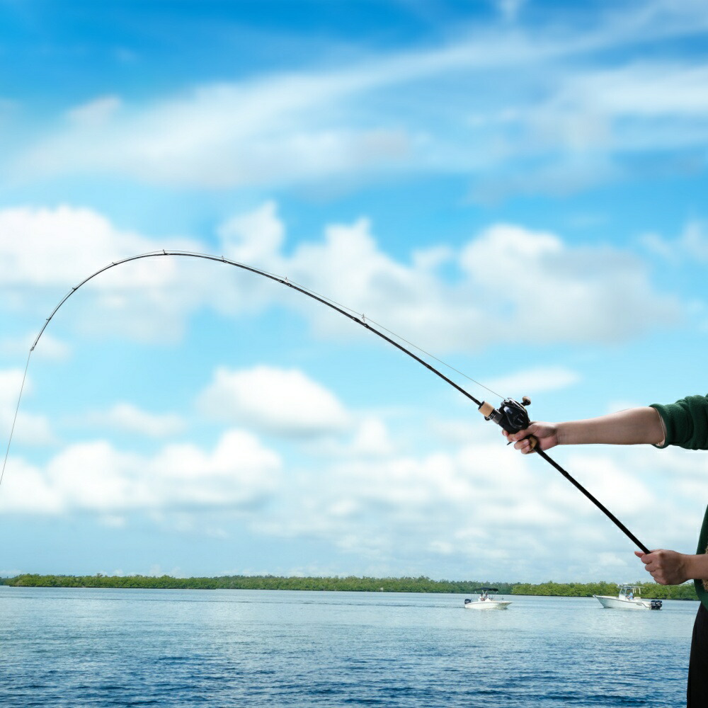 楽天市場】Goture POLLUX 二代目 スロージギングロッド グリップ脱着式