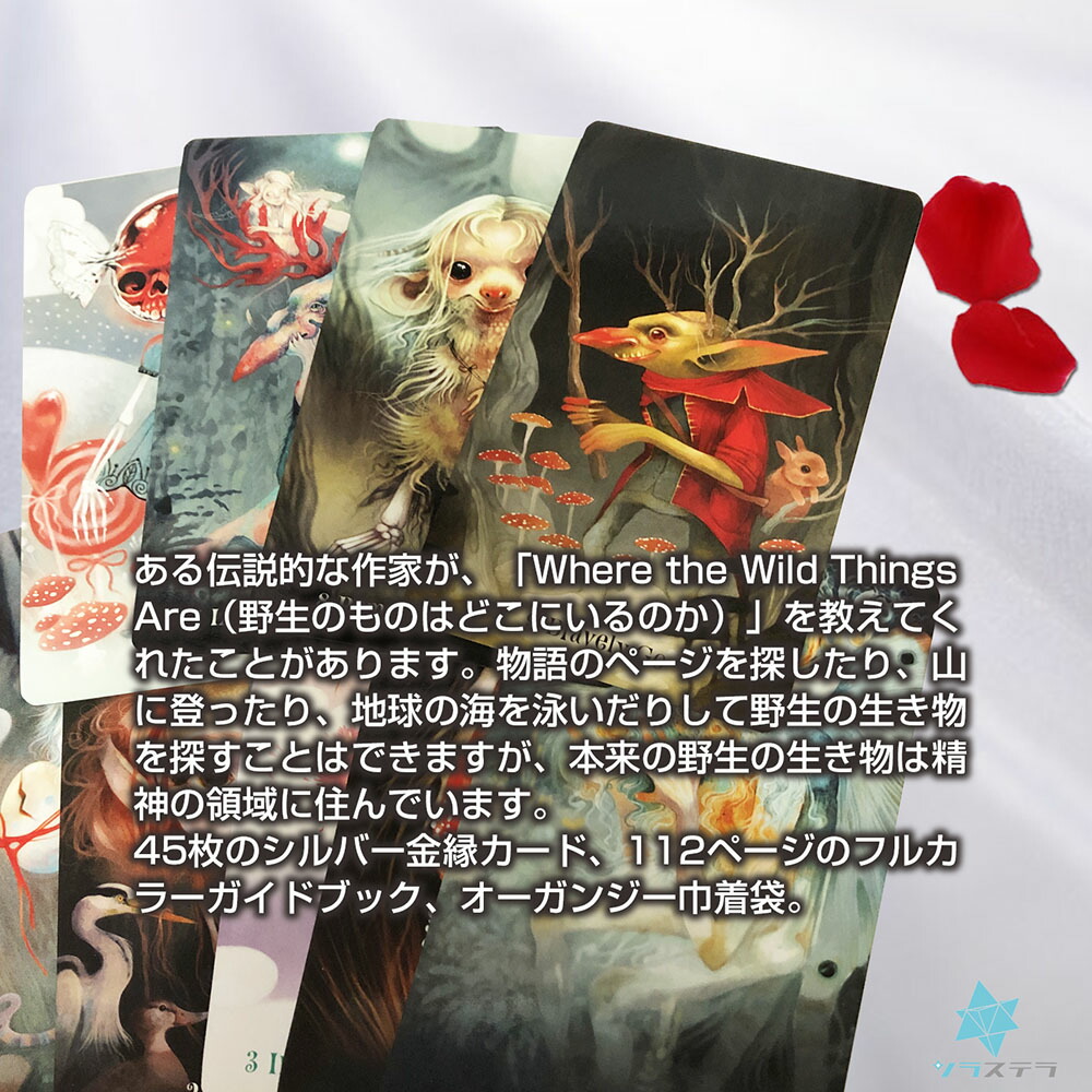 楽天市場】【日本語オラクル解説書＋要約付】 ウィズダム オブ ザ