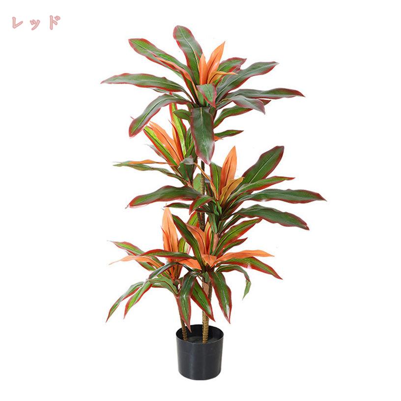 ソテツ 盆栽」の人気商品一覧 | 安い商品を通販サイトから探す - 価格.com