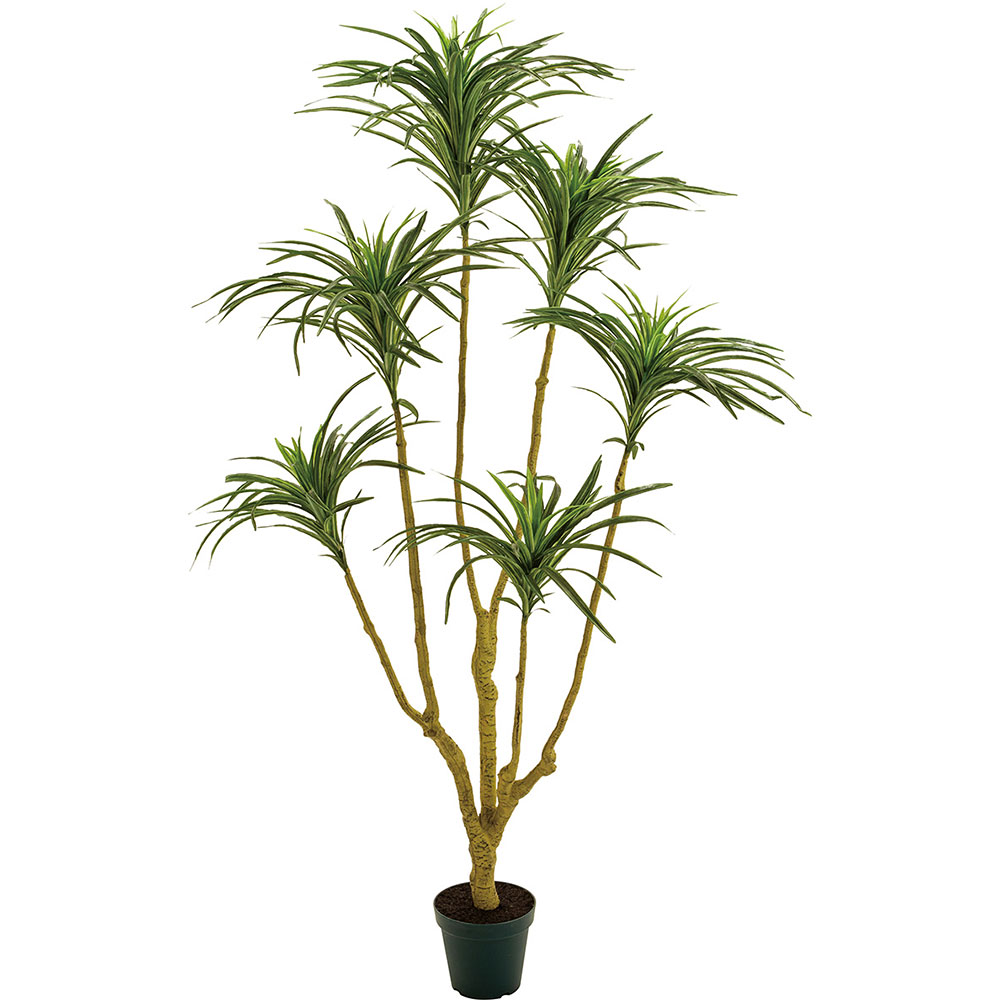 楽天市場】ドラセナ ユッカ フェイクグリーン おしゃれ 人気