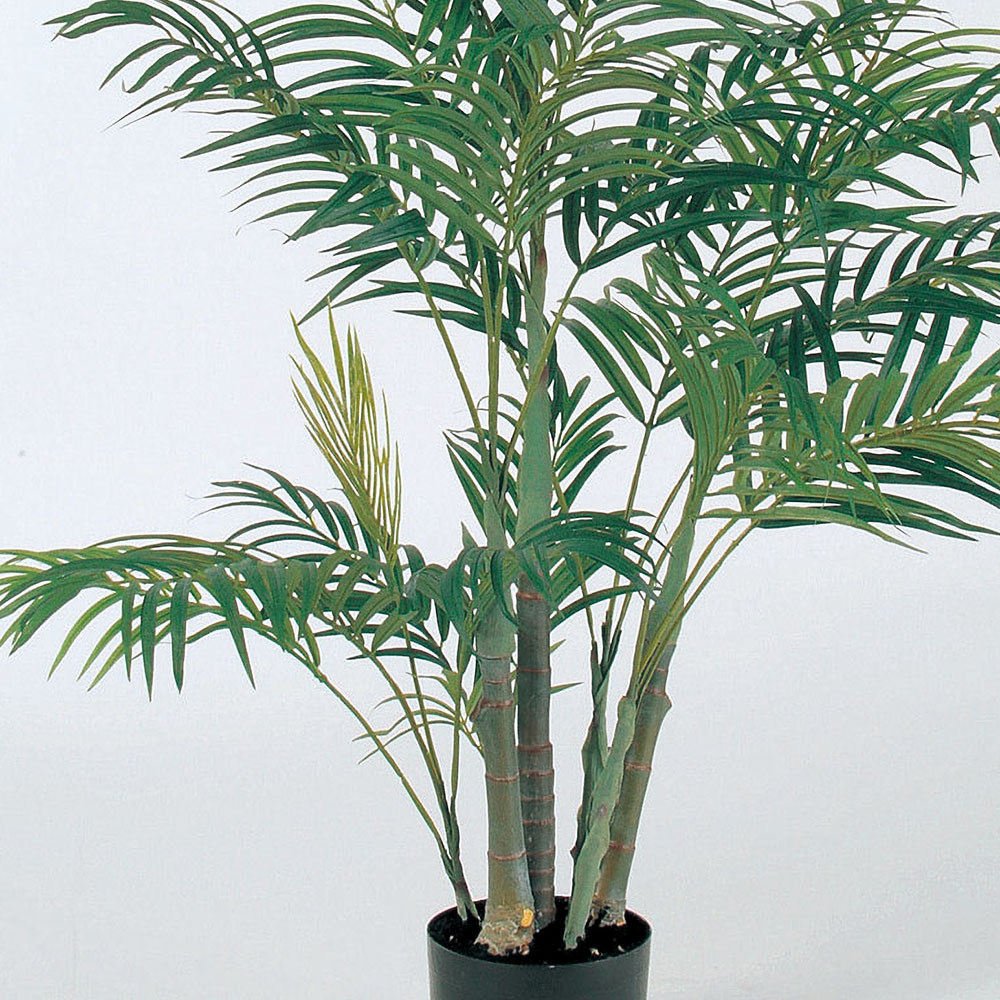 楽天市場】ヤシの木 アレカヤシ フェイクグリーン おしゃれ 人気