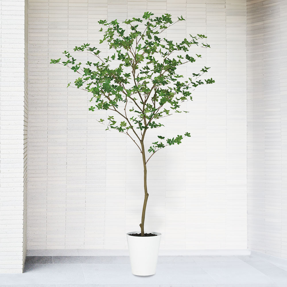 楽天市場】ドウダンツツジ おしゃれ フェイクグリーン 大型 人気