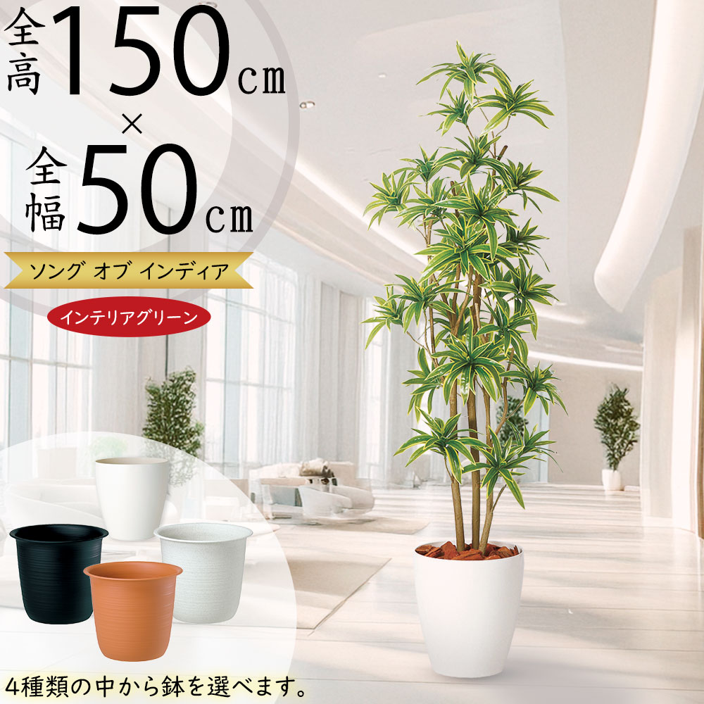 楽天市場】ドラセナ フェイクグリーン 大型 おしゃれ 人気 インテリア