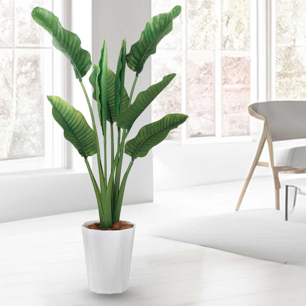 楽天市場】ストレリチア ストレチア フェイクグリーン おしゃれ 人気