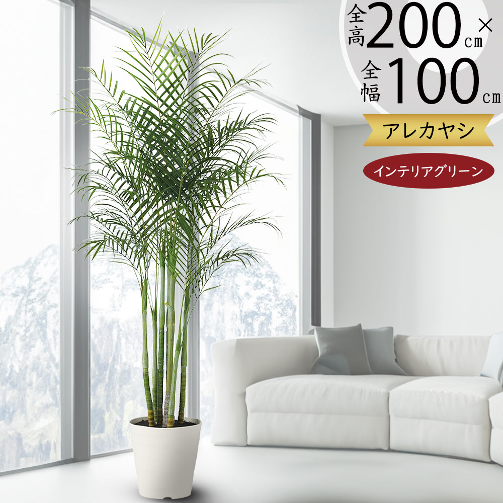 楽天市場】フェイクグリーン 大型 アレカヤシ インテリアグリーン