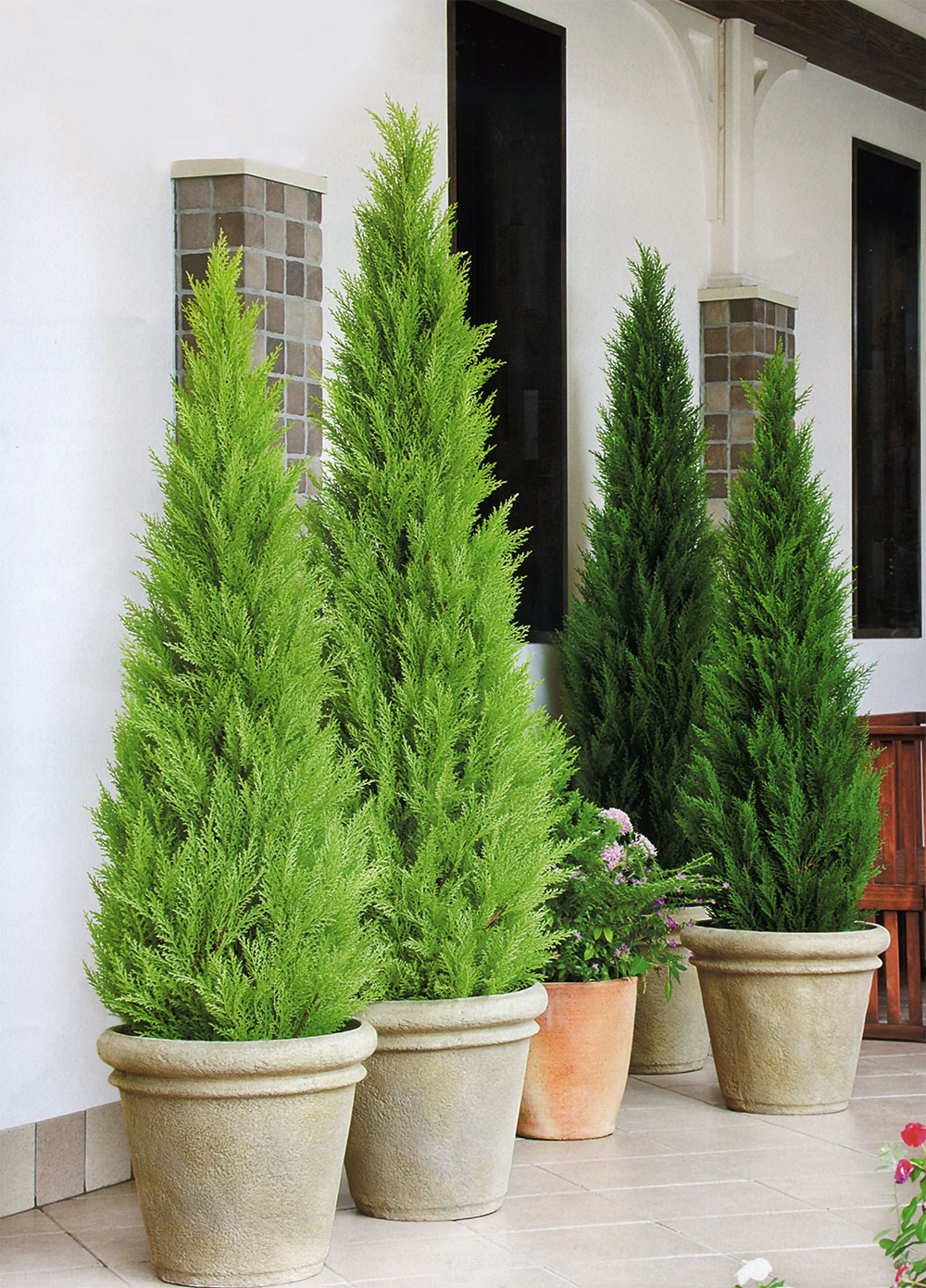 楽天市場】フェイクグリーン 屋外用 屋外対応 おしゃれ ゴールド