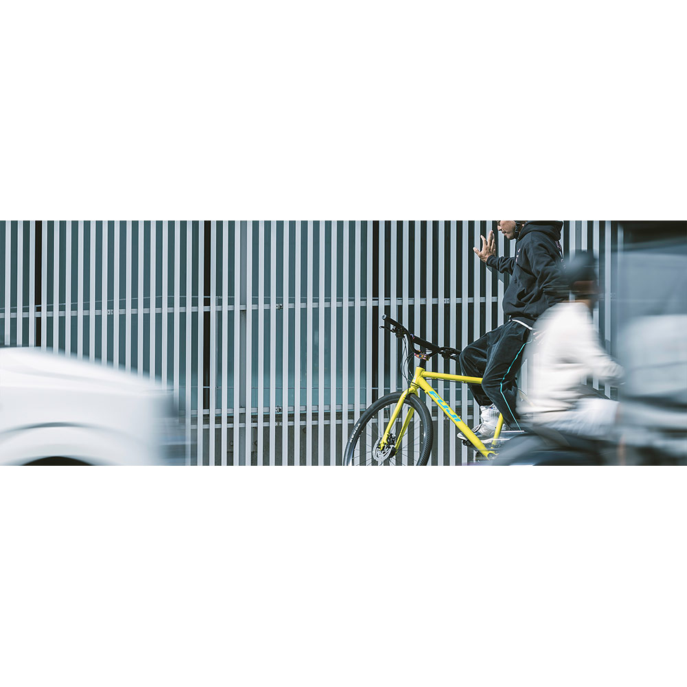 楽天市場】【最大4000円クーポン配布】【限定特価】RAIZ DISC(ライズ