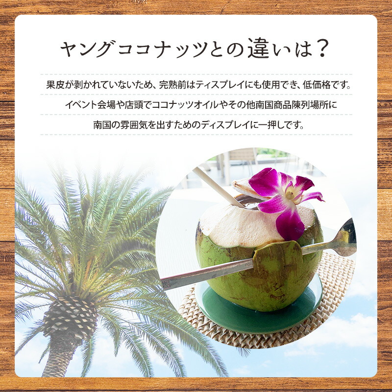 楽天市場】【楽天スーパーセール 10％OFF☆〜3/11(水)1：59迄