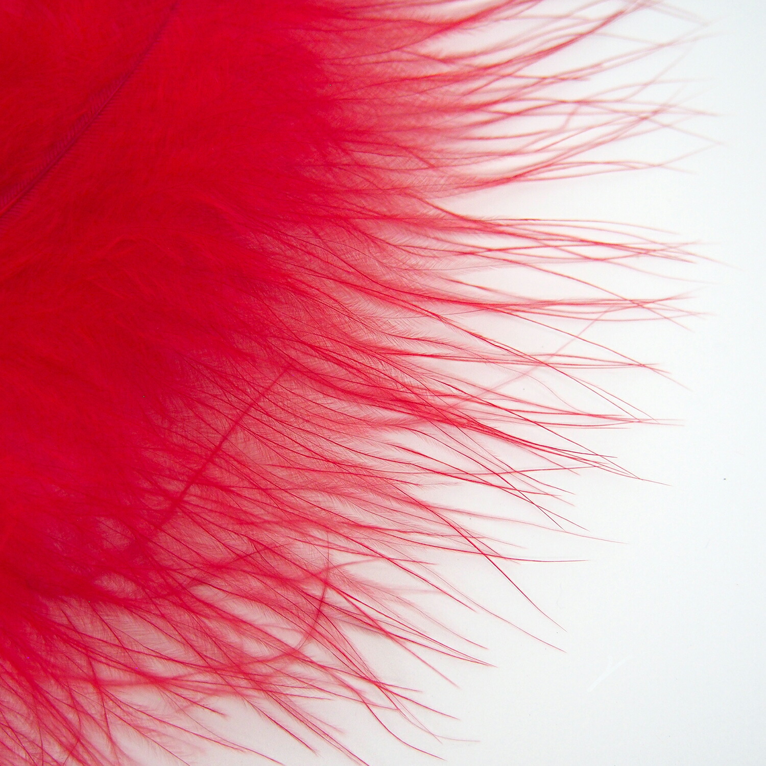 楽天市場】マラブー(10本)レッド フライタイイング 羽根 フライ