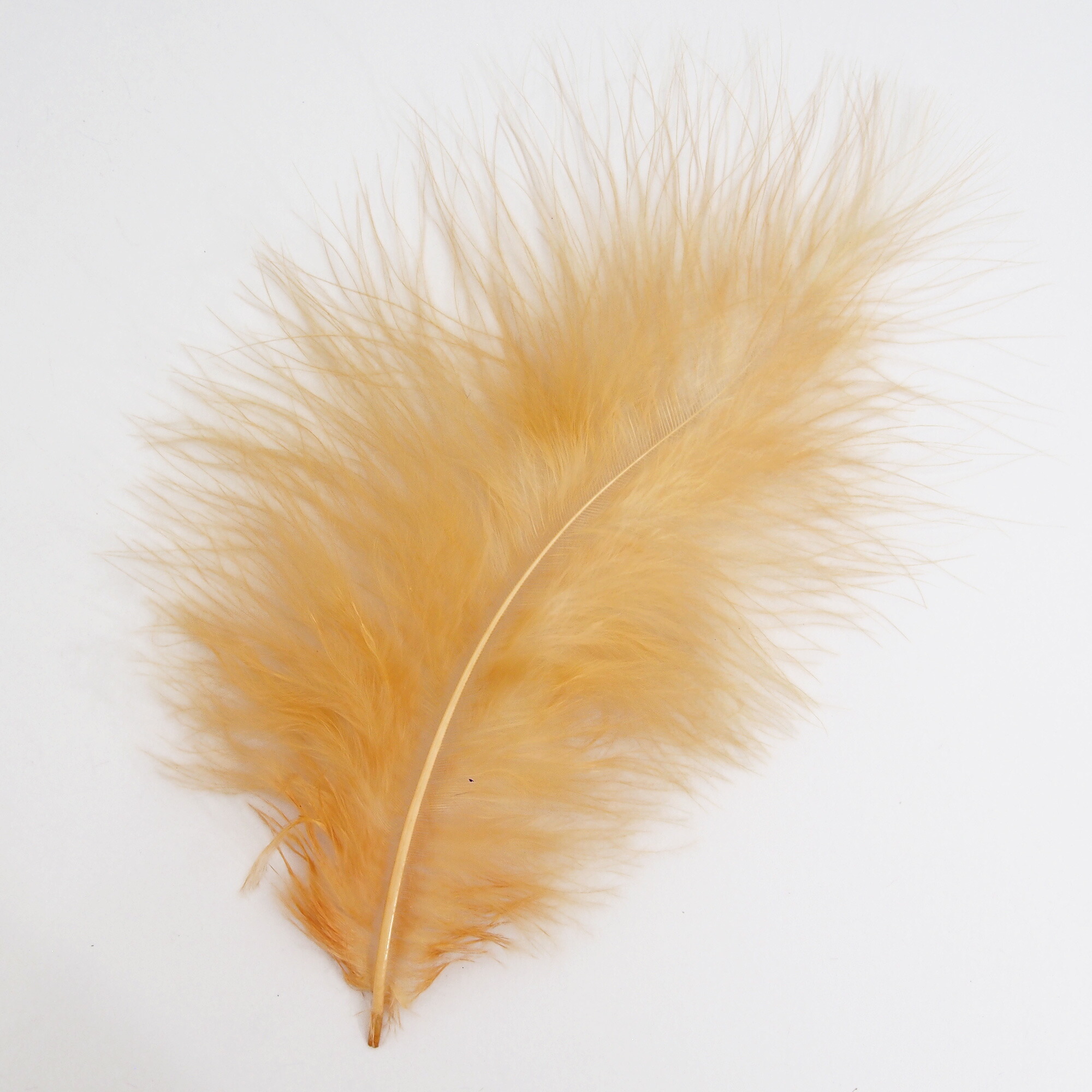 楽天市場】マラブー(10本)シナモン フライタイイング 羽根 フライ