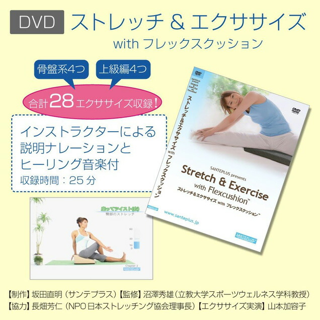 楽天市場】【エントリーでP5倍!】サンテプラス フレックスクッション