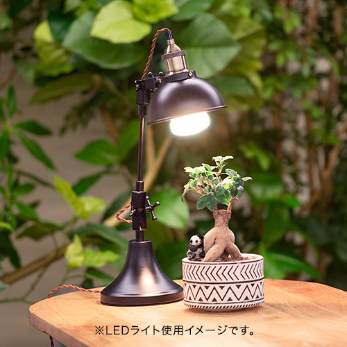楽天市場】植物育成用LED電球 Well light 3K 昼白色(3球) 日比谷花壇