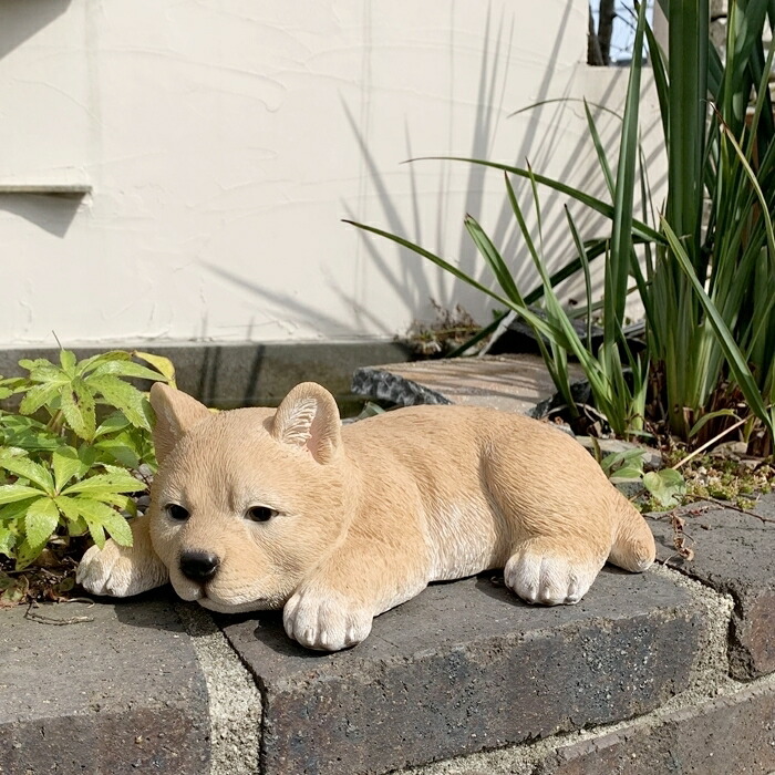 楽天市場】【野川農園】【在庫限り】伏せ犬B（茶）(13447)犬 犬置物