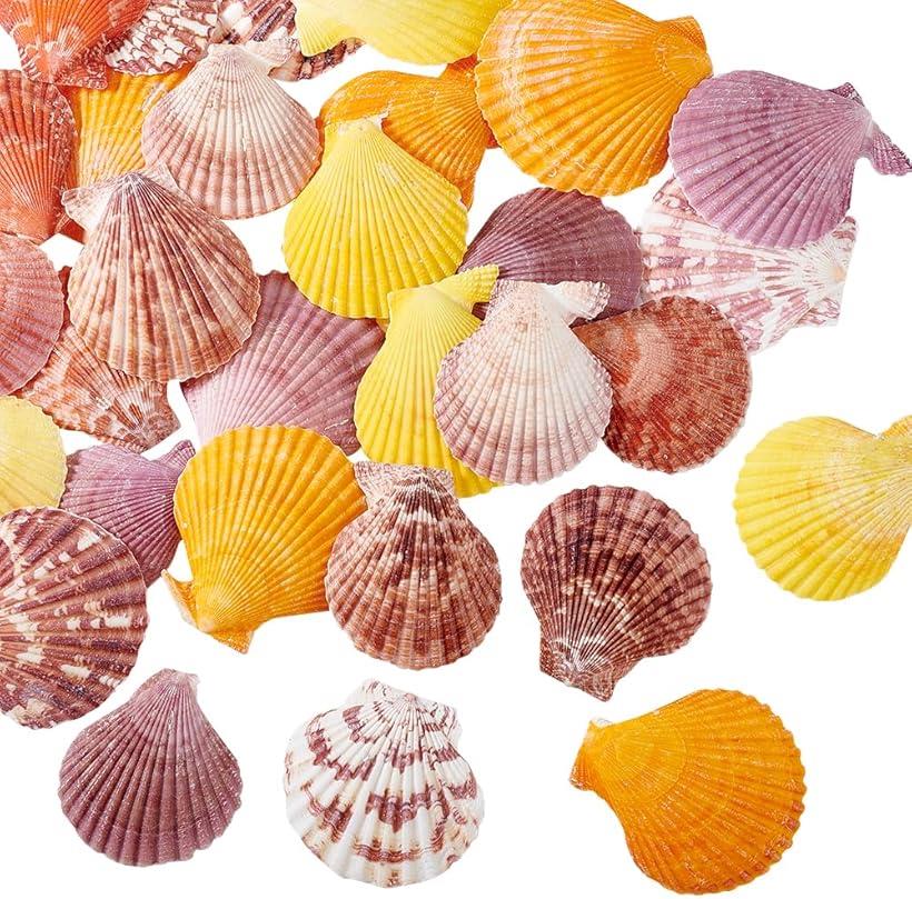 楽天市場】6カラー 30個入り カラフル 貝殻セット パーツ アソート