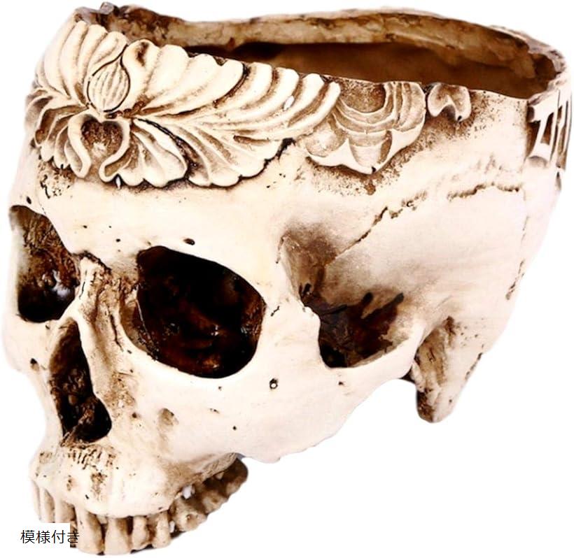 楽天市場】ガラ空き ドクロ 小物入れ 卓上 リアル 頭蓋骨 骸骨