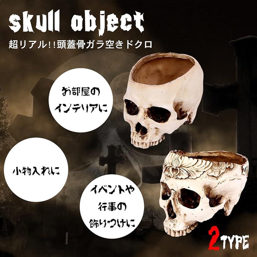 楽天市場】ガラ空き ドクロ 小物入れ 卓上 リアル 頭蓋骨 骸骨