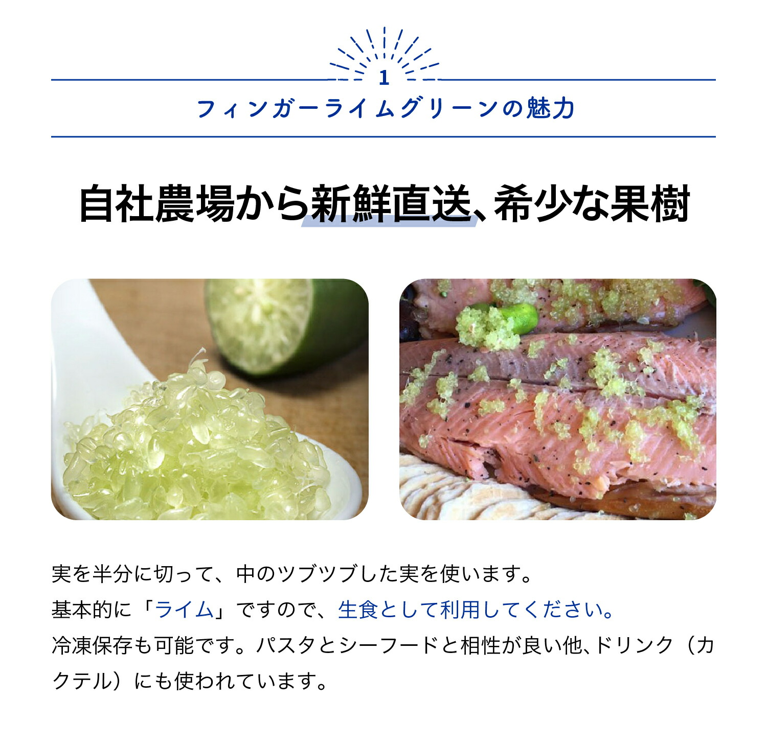 楽天市場】【SS期間☆P5倍】フィンガーライム グリーン 果樹苗 2年生