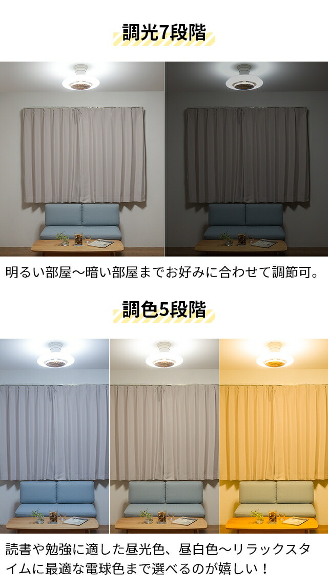 楽天市場】【楽天1位】【選べる豪華特典】 ドウシシャ サーキュライト