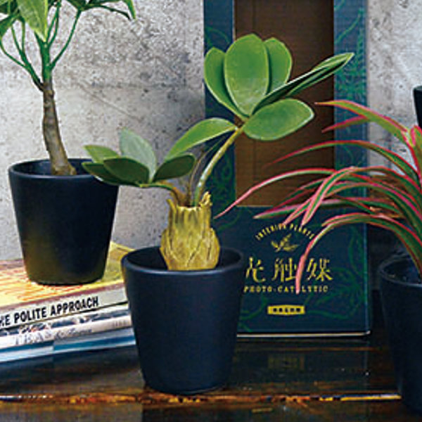 楽天市場】フェイクグリーン ブラックポットTS 光触媒 （ 人工観葉植物