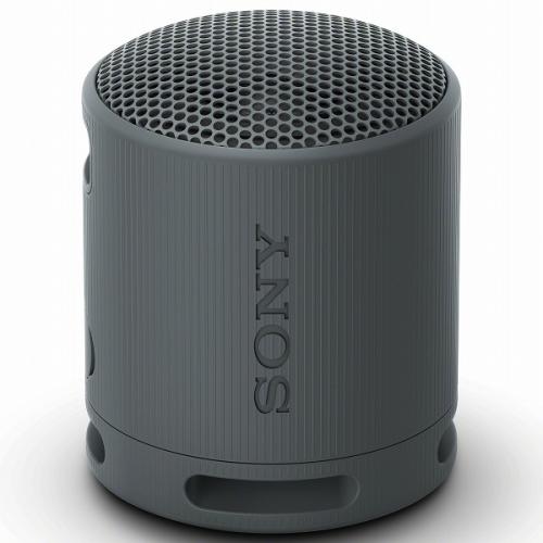 ソニー SONY ワイヤレスポータブルスピーカー ブラック SRS-XB100 B