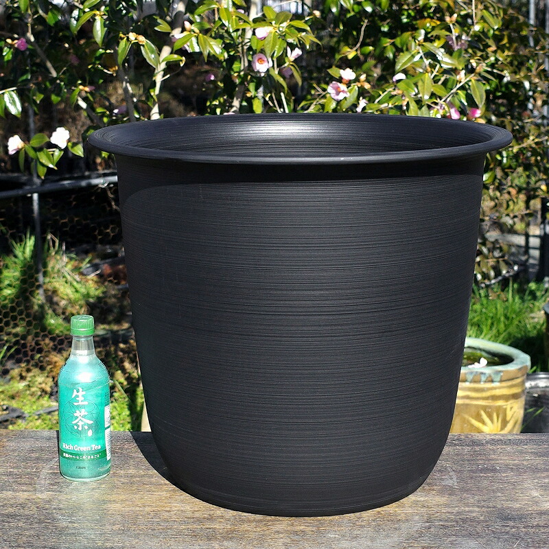 楽天市場】プラ鉢 ツリー 12号(口径54cm)【黒】【植木鉢 大型】【花
