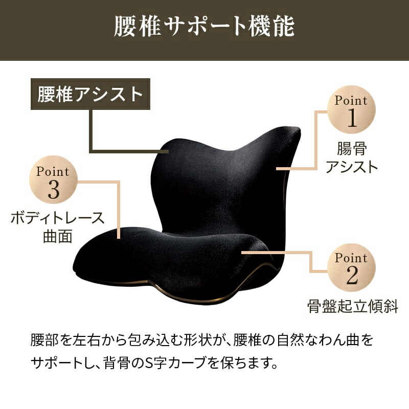 楽天市場】姿勢ケアシート スタイル プレミアム デラックス MTG Style